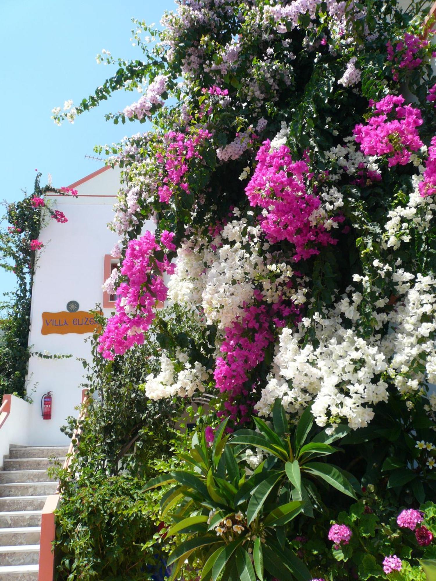 Villa Elizea Stalós Zewnętrze zdjęcie